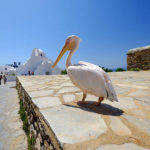 Mykonos top attractions