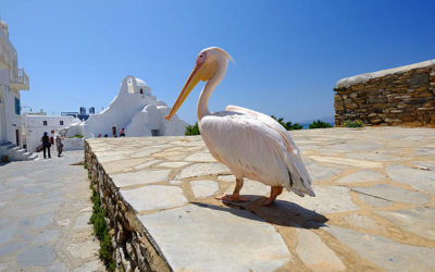 Mykonos top attractions