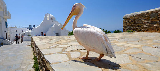 Mykonos top attractions